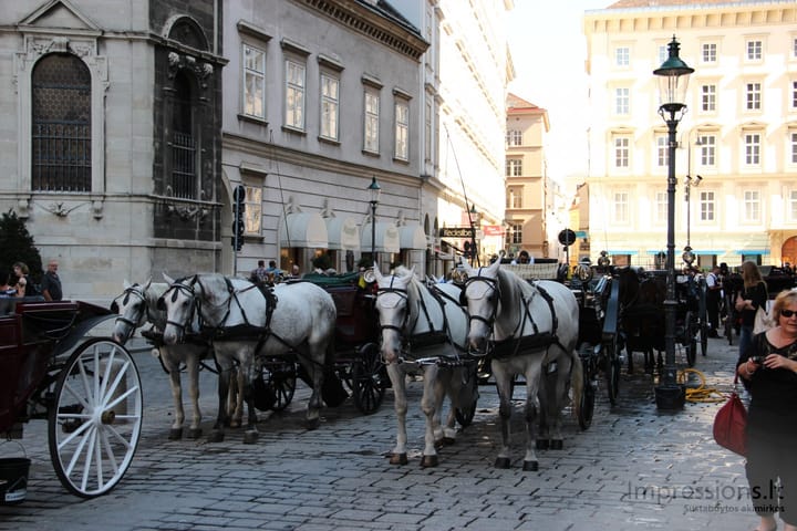 Sostinė Viena