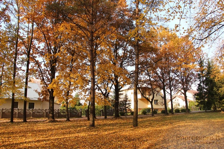 Ruduo 2012