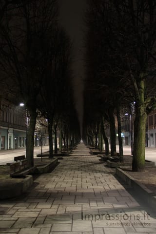 Laisvės alėja nuo Soboro