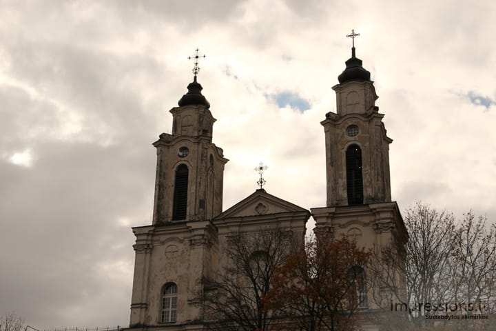 Kauno miestas dieną (2010-2012 m.)
