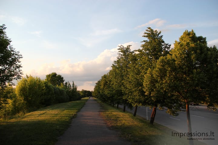Dviračių takas palei Jonavos g.
