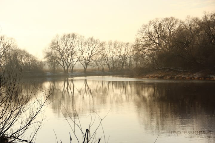 Nevėžis