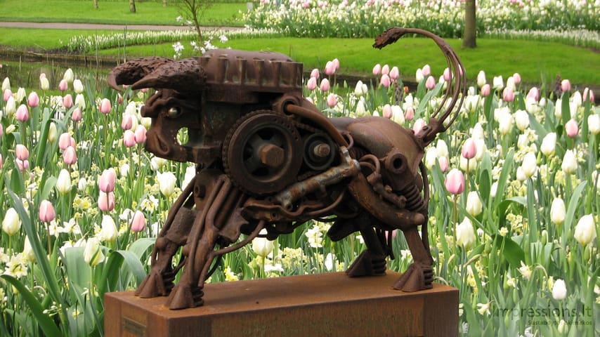 Keukenhof gėlynai