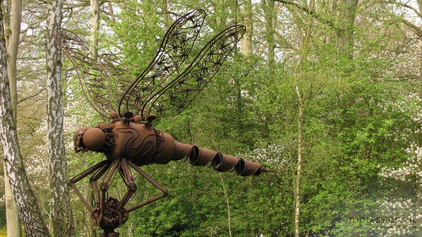 Keukenhof gėlynai