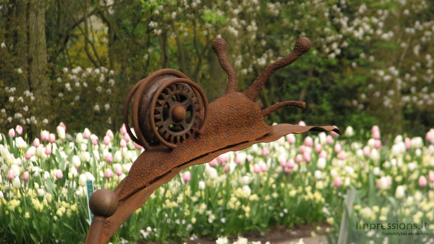 Keukenhof gėlynai