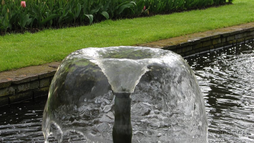 Keukenhof gėlynai