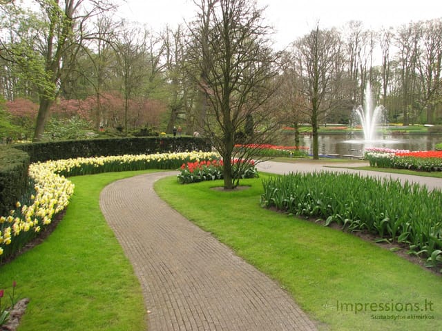 Keukenhof gėlynai