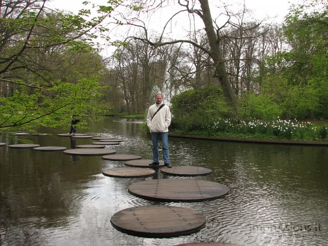 Keukenhof gėlynai