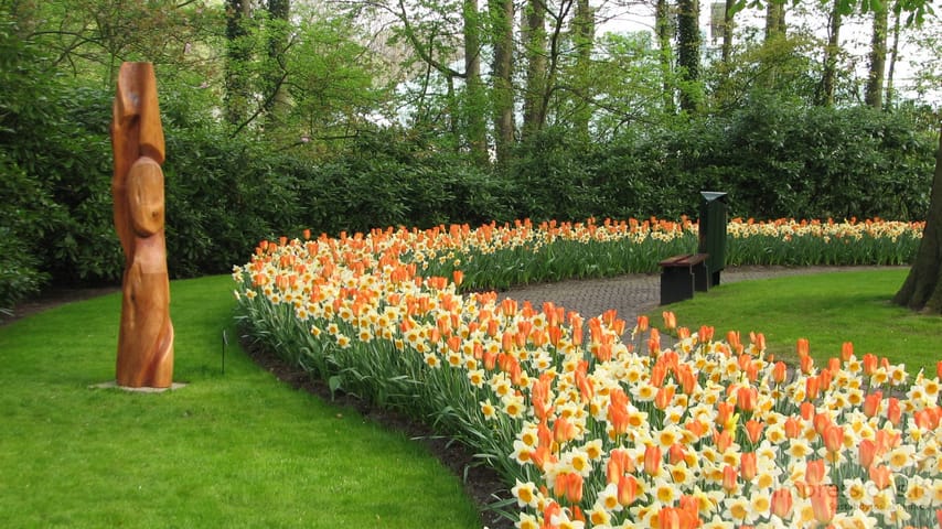 Keukenhof gėlynai
