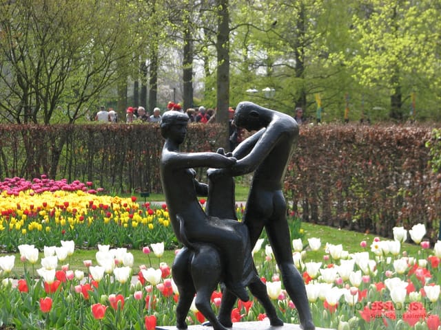 Keukenhof gėlynai