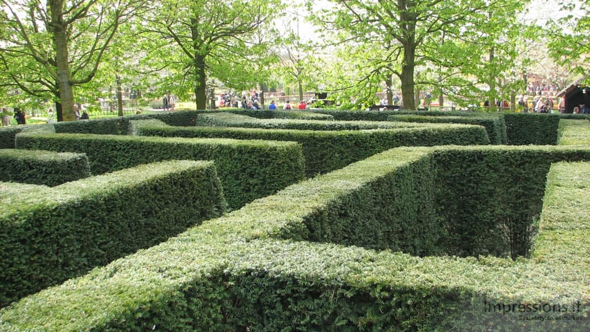 Keukenhof gėlynai