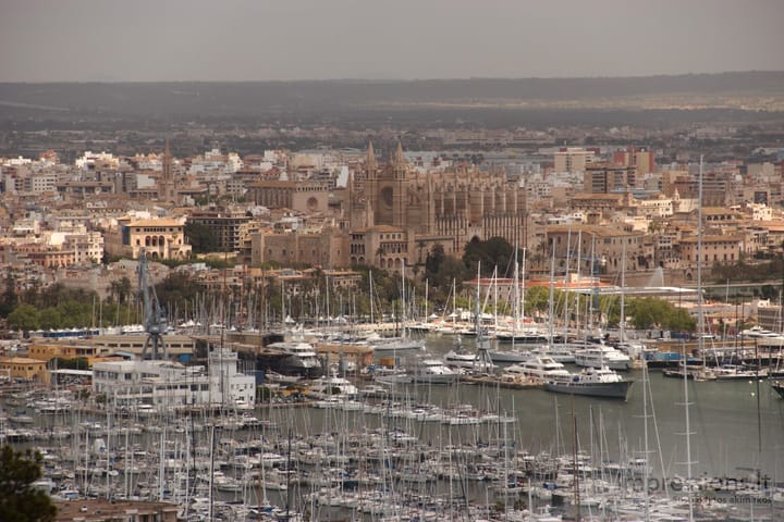 Palma, Palmos katedra ir uostas