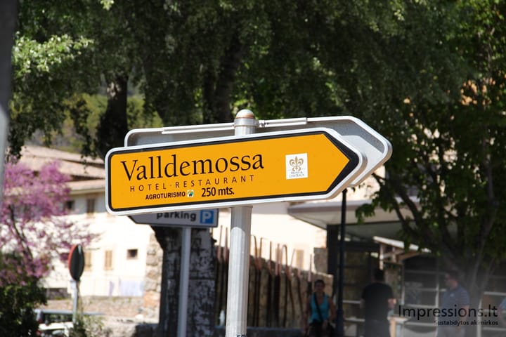 Nuoroda į Valdemossa