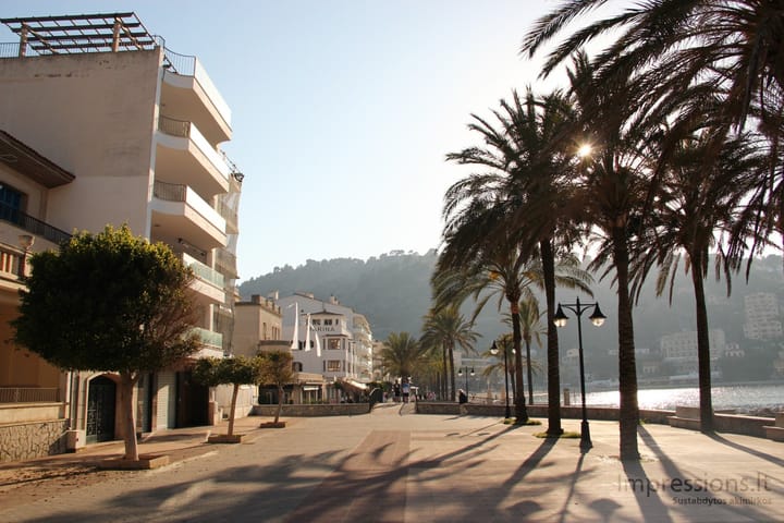 Port de Soller palmės