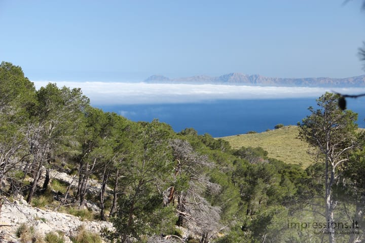Pakeliuj į Cap de Formentor