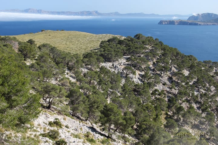 Pakeliuj į Cap de Formentor