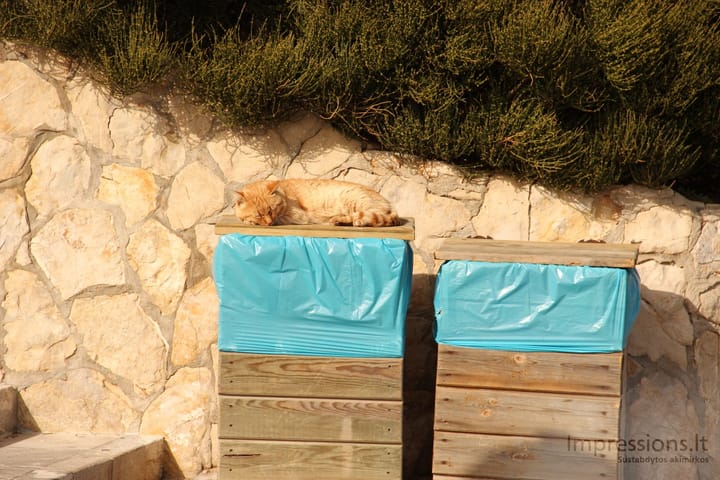 Maljorka: Port de Sa Calobra paplūdimys, Cap de Formentor švyturys, serpantinai