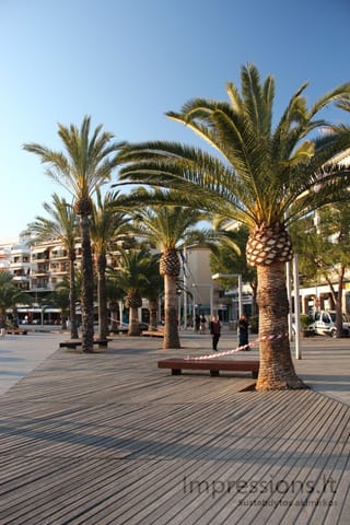 Port d'Alcudia