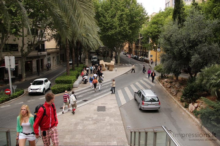 Po Palmos gatves ir gatveles