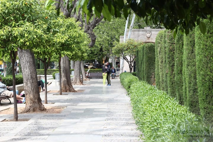 Maljorka: sostinė Palma de Mallorca