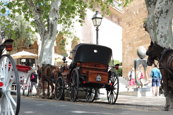 Maljorka: sostinė Palma de Mallorca