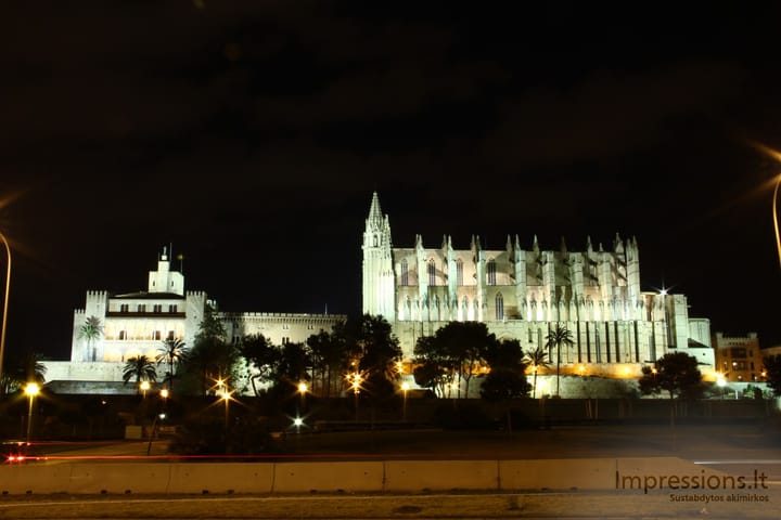 Naktinė Palma de Mallorca, katedra