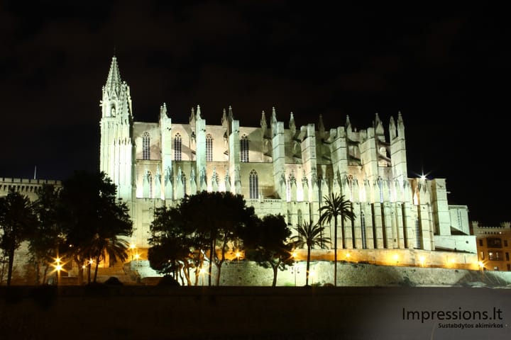 Naktinė Palma de Mallorca, katedra