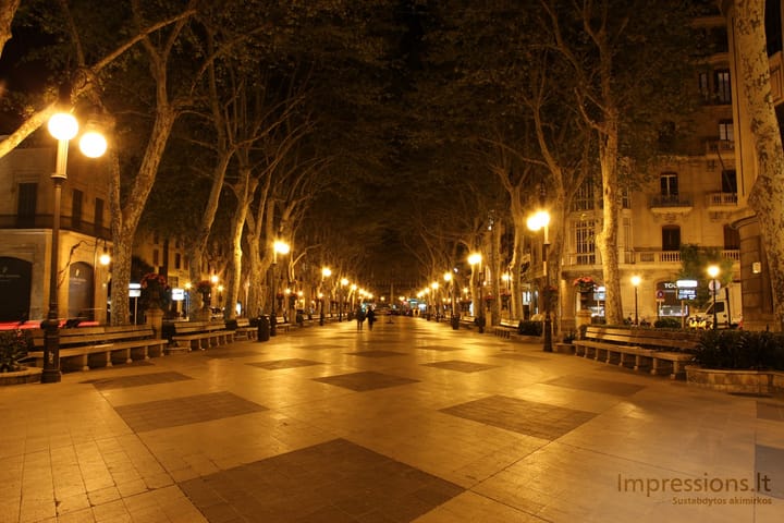 Naktinė Palma de Mallorca, Borno pasažas