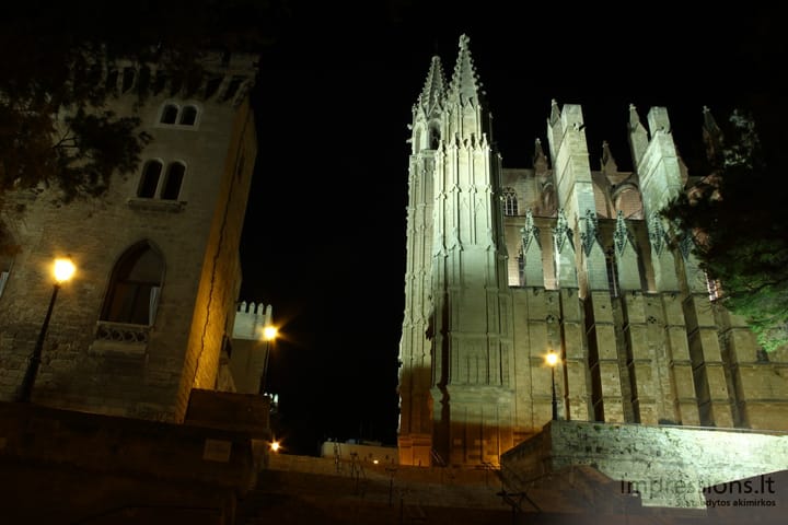 Naktinė Palma de Mallorca
