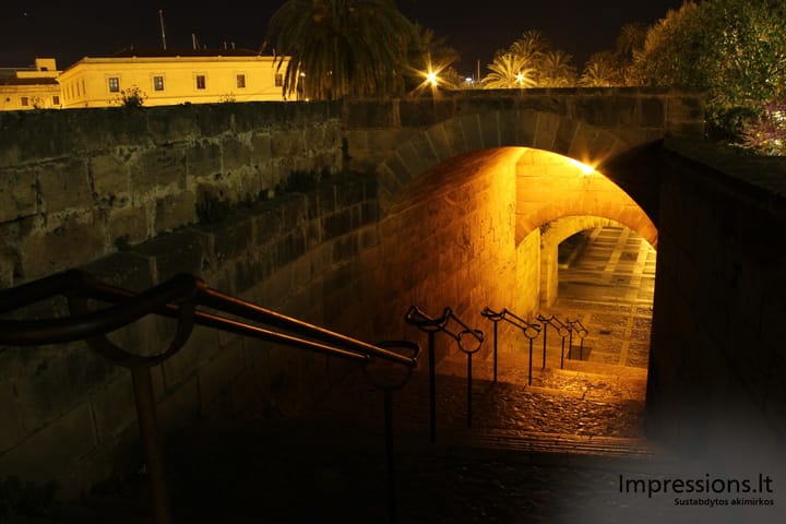 Naktinė Palma de Mallorca