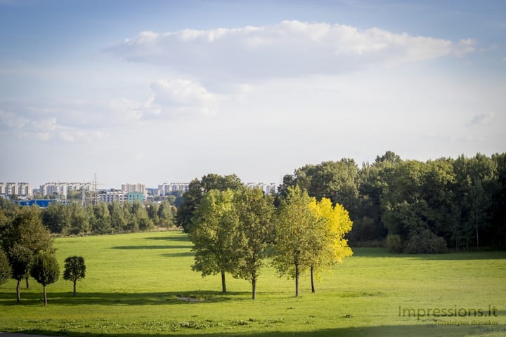 EF 50mm f1.8 II objektyvu fotografuota prie IX forto