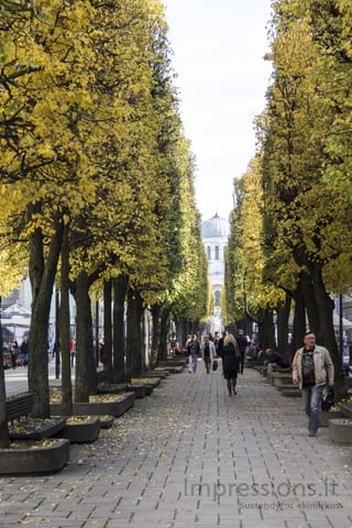 Laisvės alėja rudenį, Kaunas
