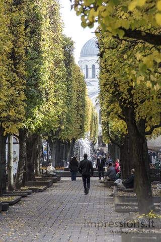 Laisvės alėja rudenį, Kaunas