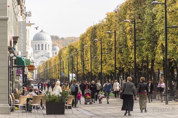 Laisvės alėja, Kaunas
