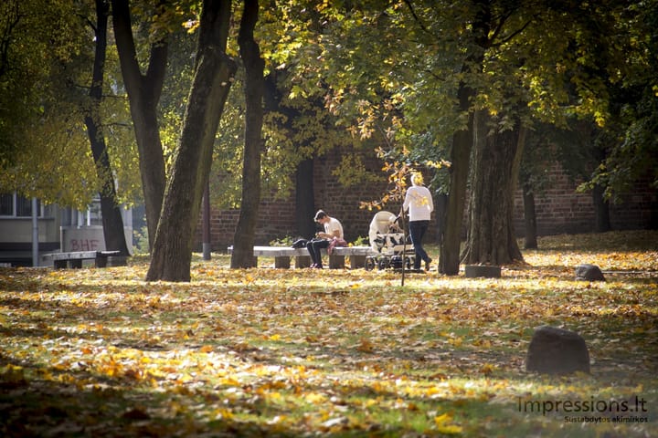 Kauno Muzikinio teatro parkas rudenį