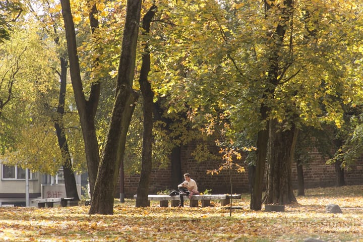 Kauno Muzikinio teatro parkas rudenį