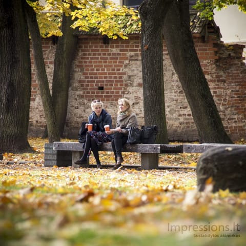 Kauno Muzikinio teatro parkas rudenį