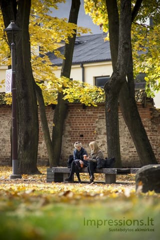 Kauno Muzikinio teatro parkas rudenį