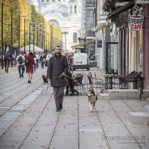 Laisvės alėja rudenį, Kaunas