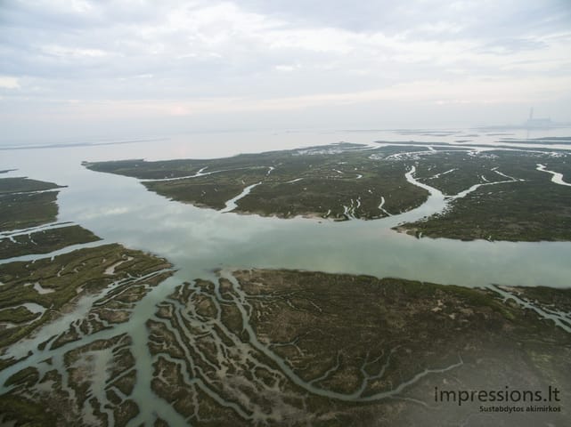 Paukščio skrydis su DJI Phantom 3
