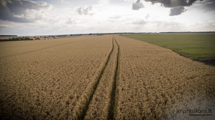 Paukščio skrydis su DJI Phantom 3