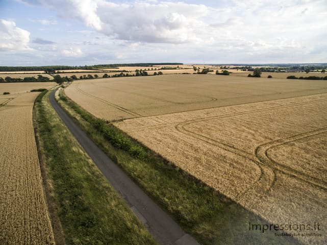 Paukščio skrydis su DJI Phantom 3