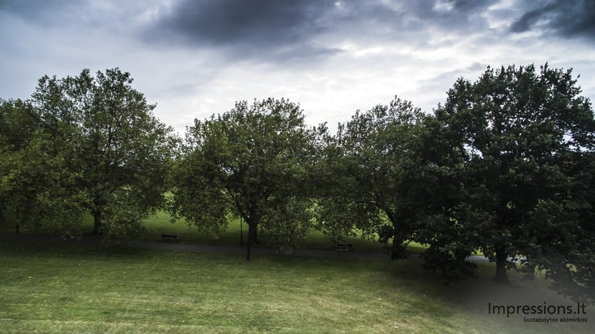 Paukščio skrydis su DJI Phantom 3