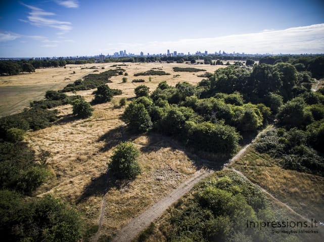 Paukščio skrydis su DJI Phantom 3