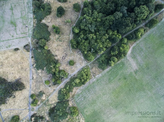 Paukščio skrydis su DJI Phantom 3