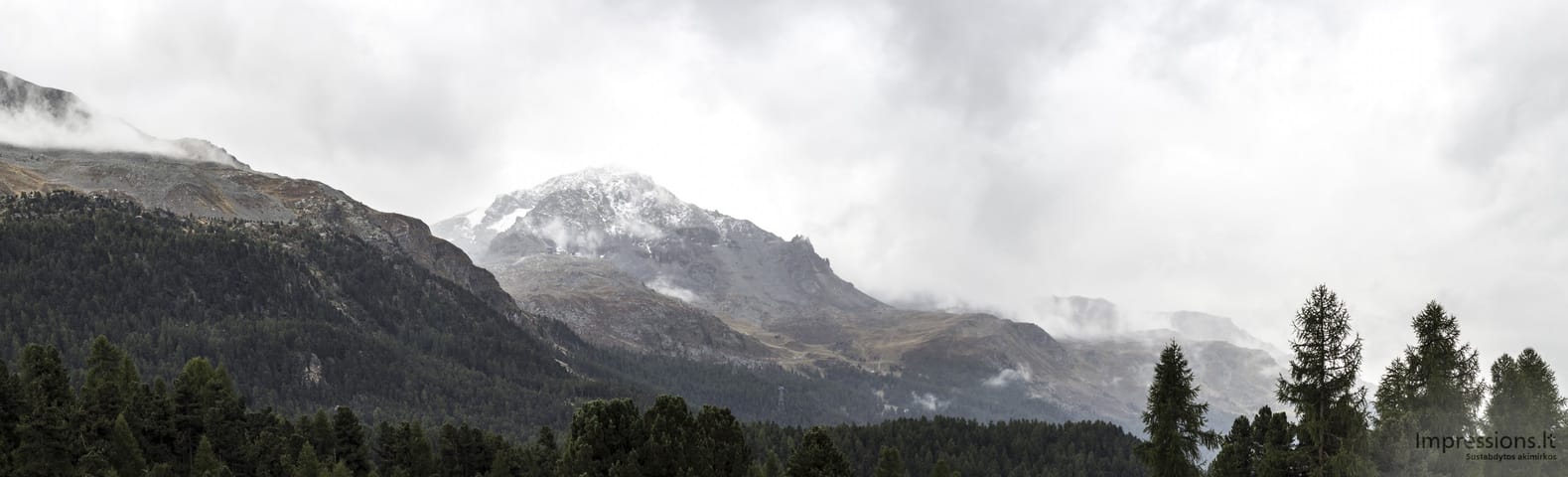 Tiesiog Alpės