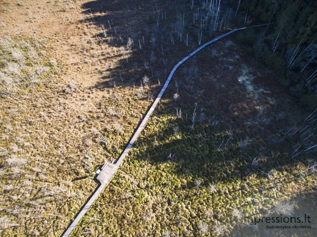 Lietuva iš paukščio skrydžio (foto/video)