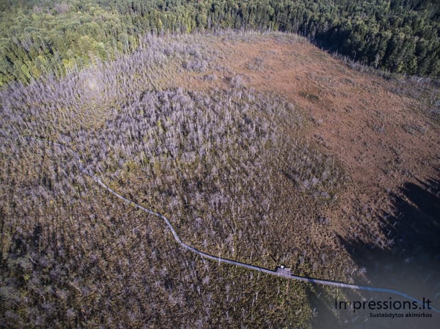 Lietuva iš paukščio skrydžio (foto/video)