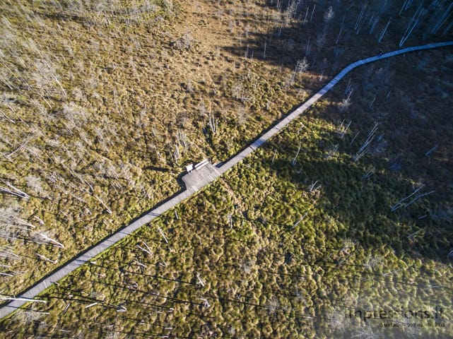 Lietuva iš paukščio skrydžio (foto/video)