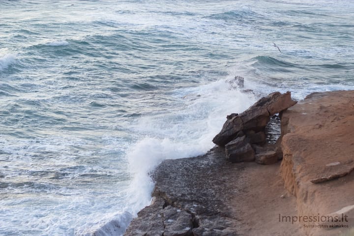 Ibiza